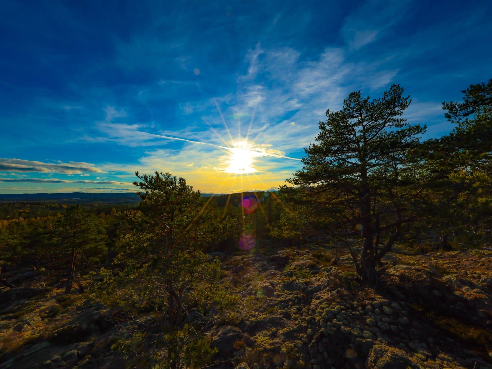 Hemsö_069