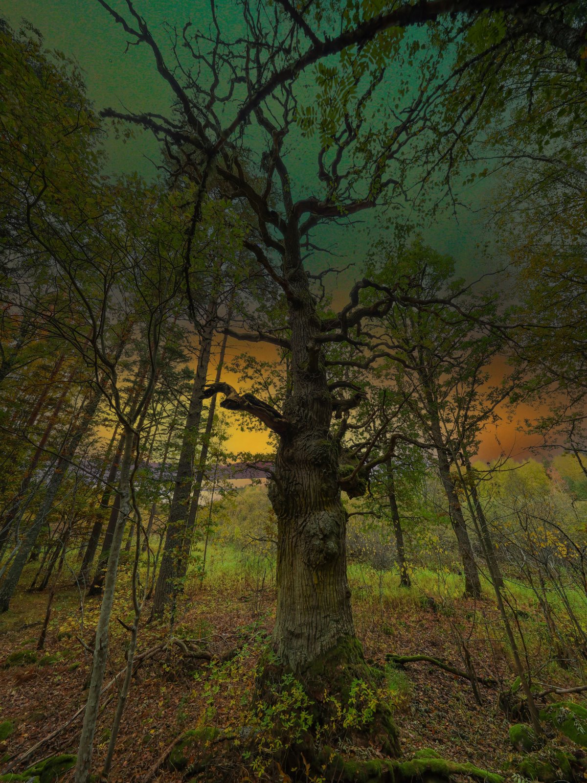 Nationalpark Färnebofjärden_018