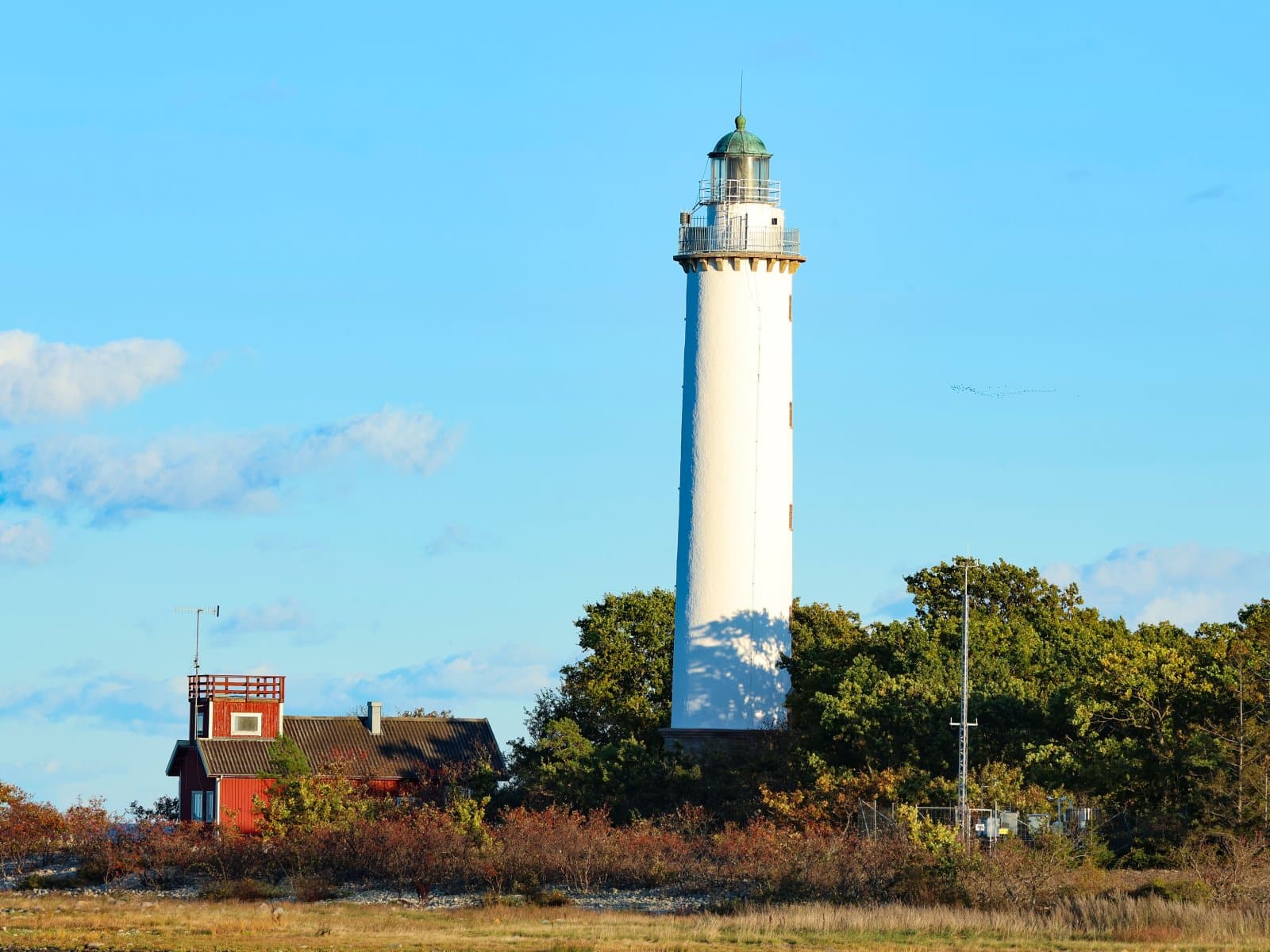 Öland_79007