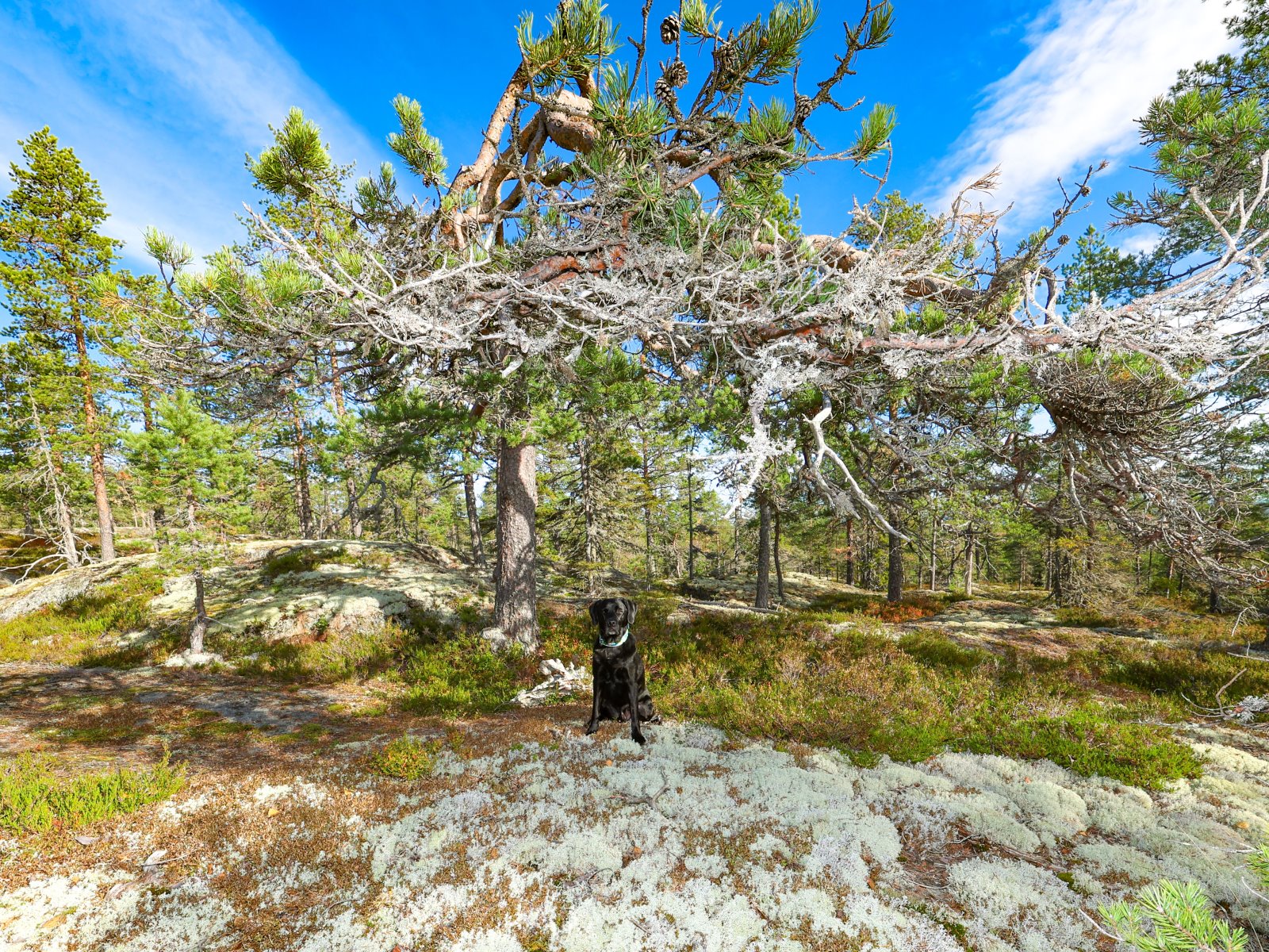 Stallberg_002