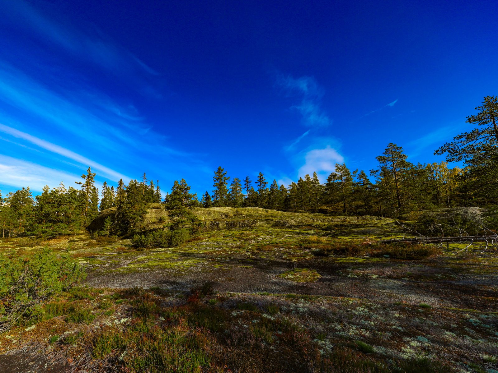 Stallberg_029