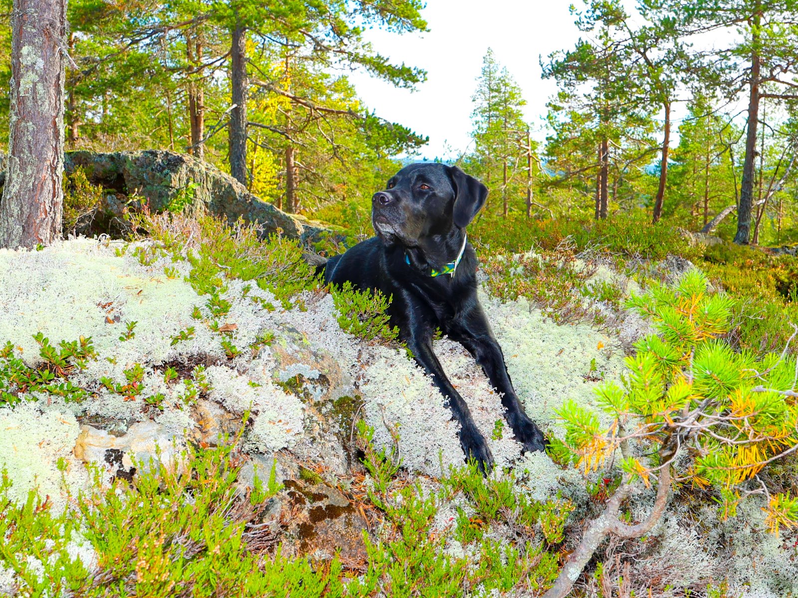 Stallberg_078