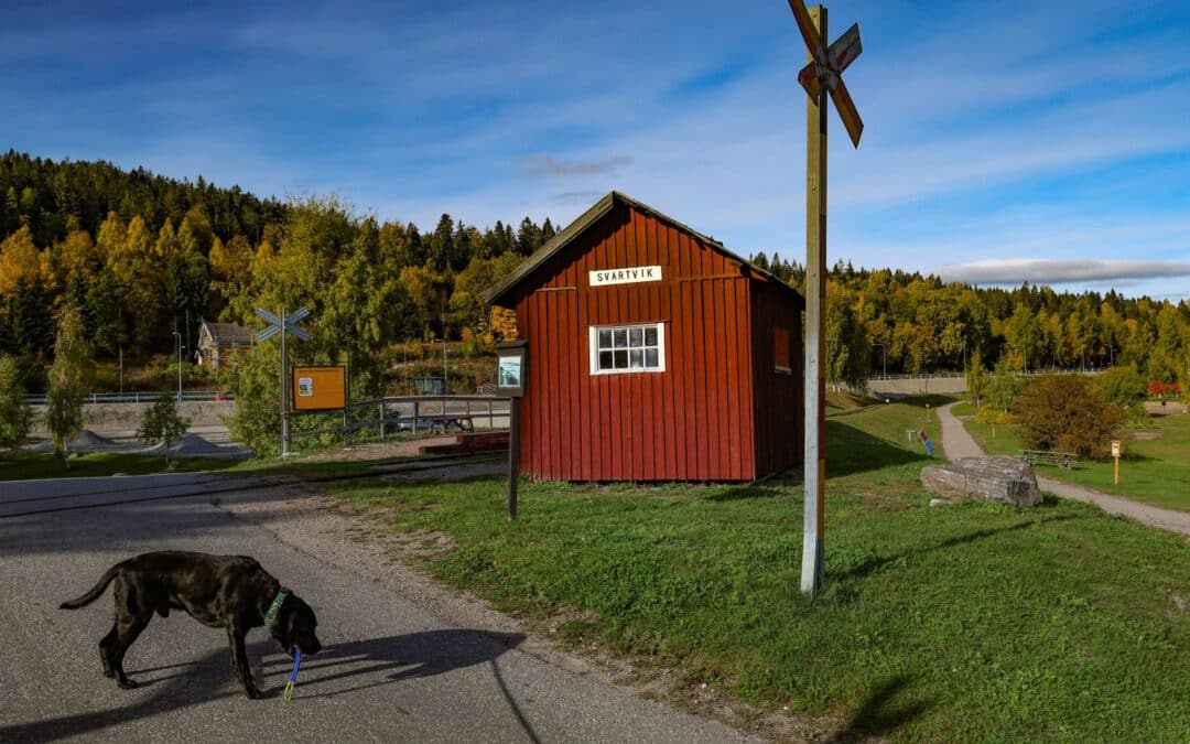 Svartvik