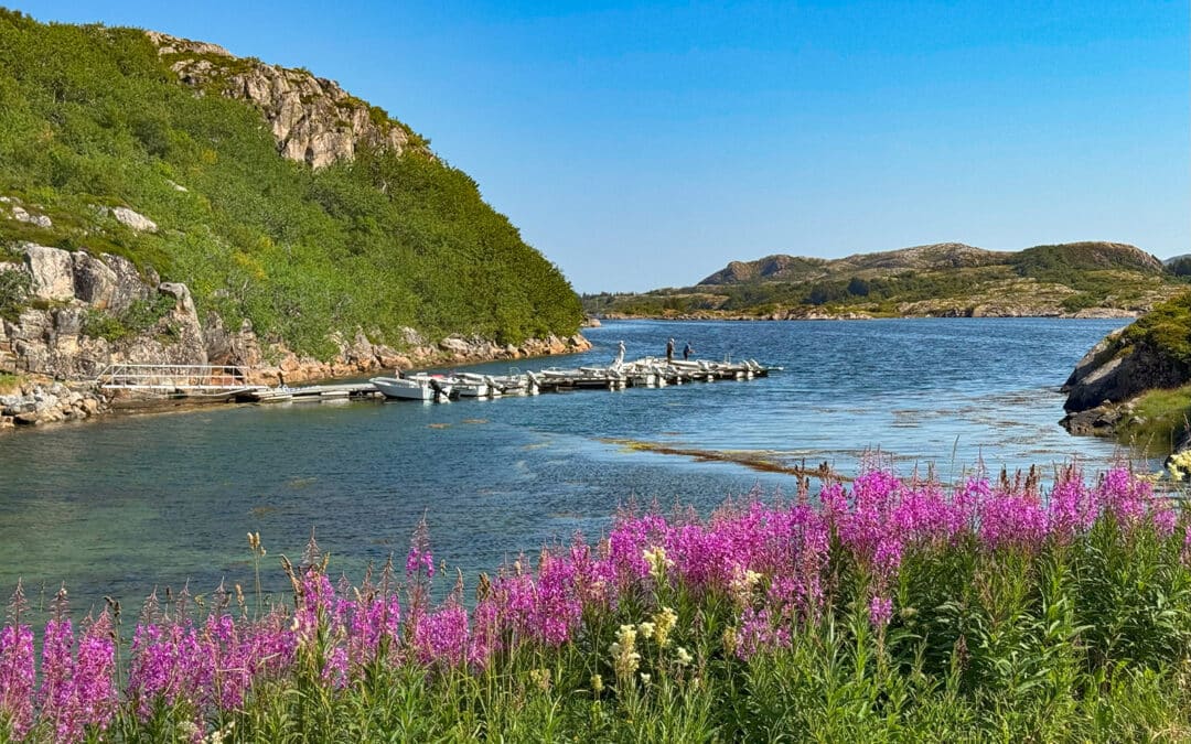 Angeln im Skjærgårdscamping