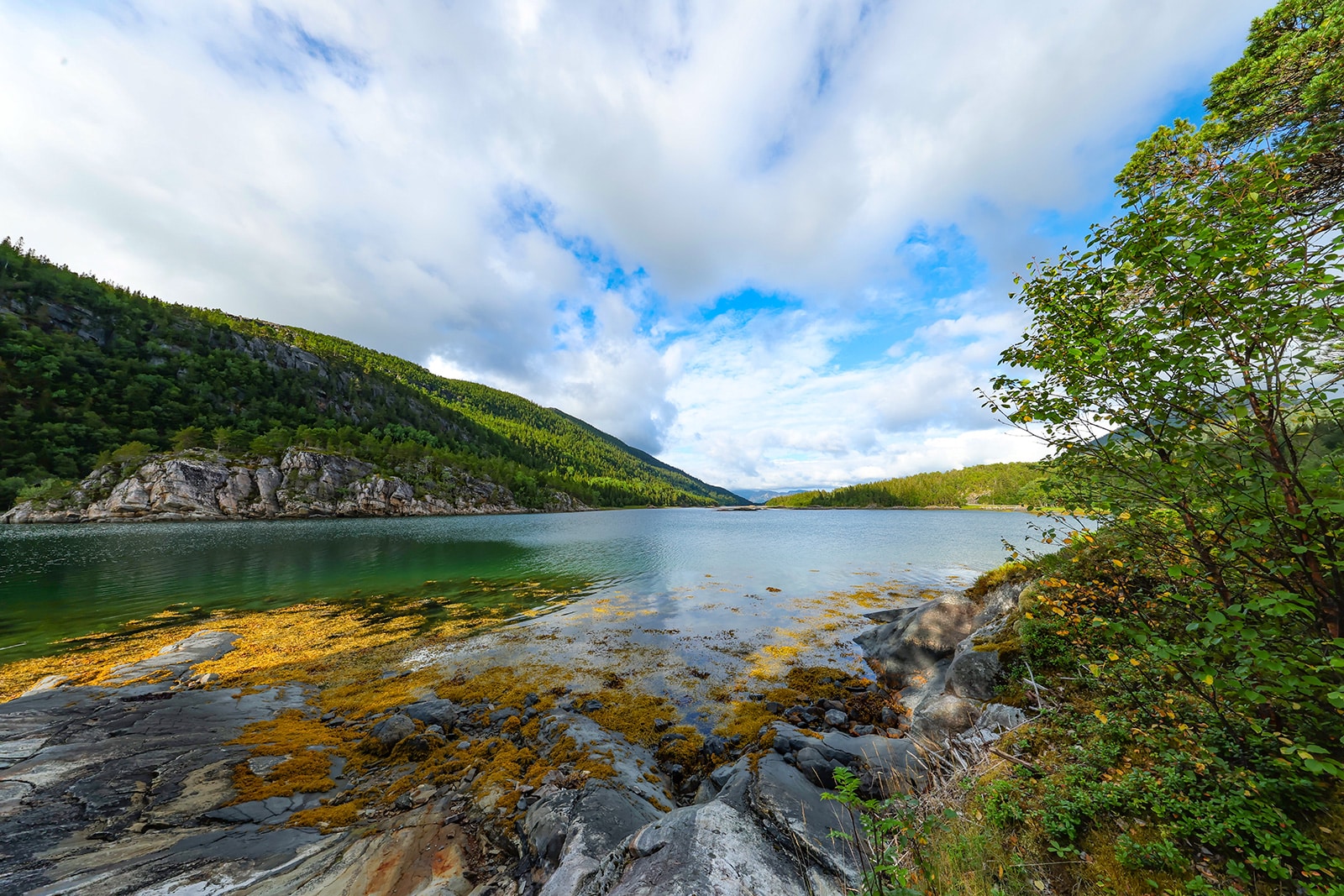 sørhorsfjord5