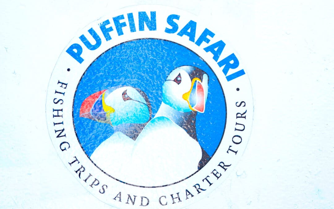 Puffin-Safari in Bleik