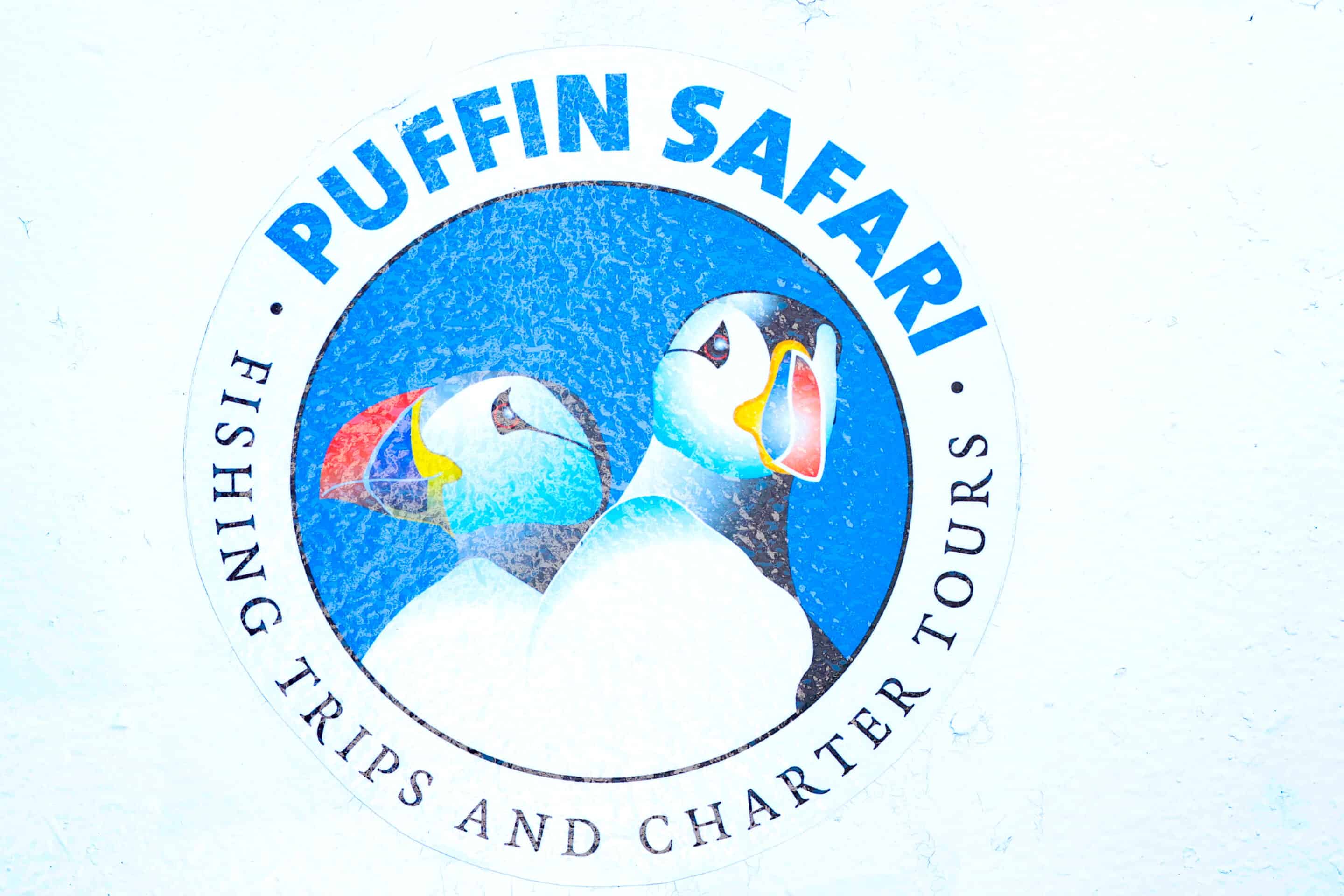 Puffin-Safari in Bleik