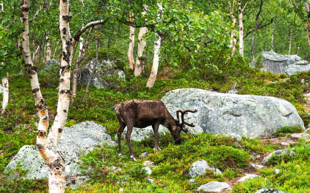 Wir sind in Finnland angekommen