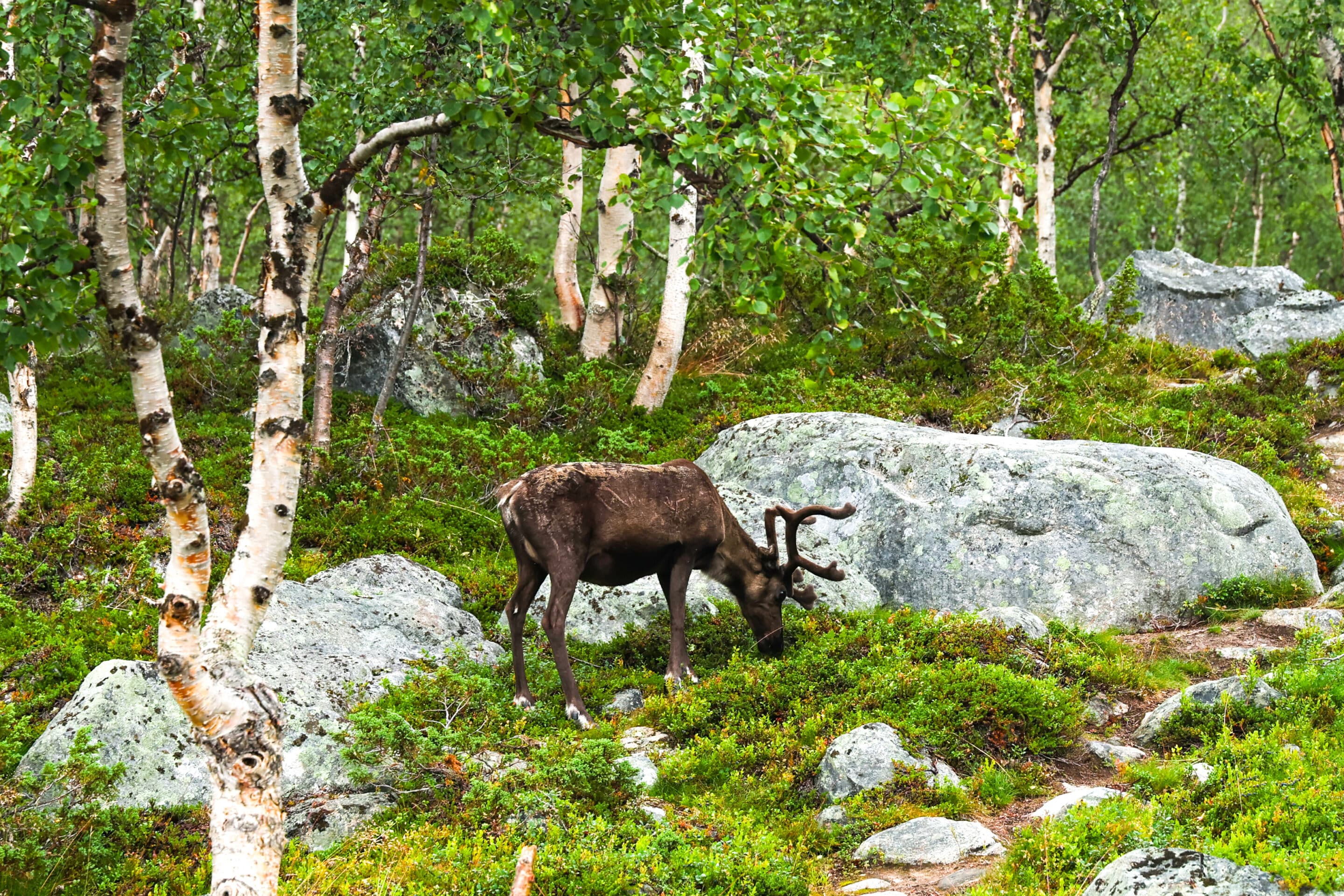 Wir sind in Finnland angekommen