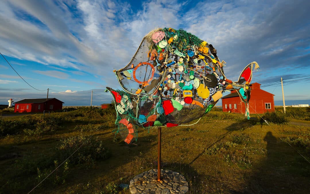 Auf nach Berlevåg