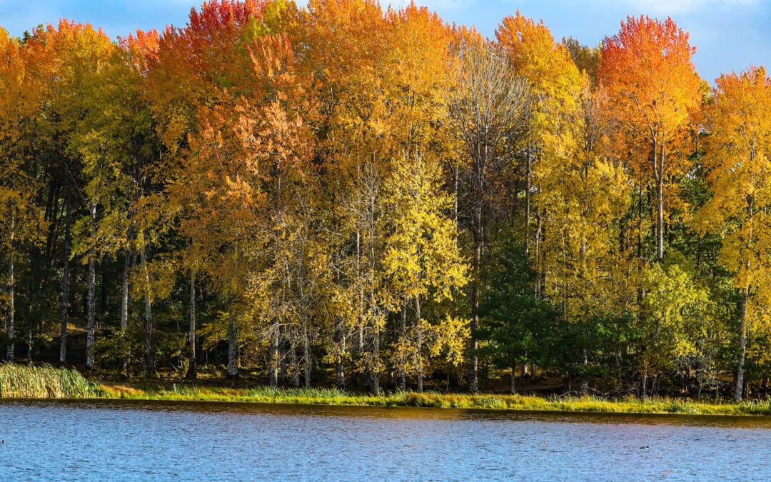 Von Gysinge nach Linköping