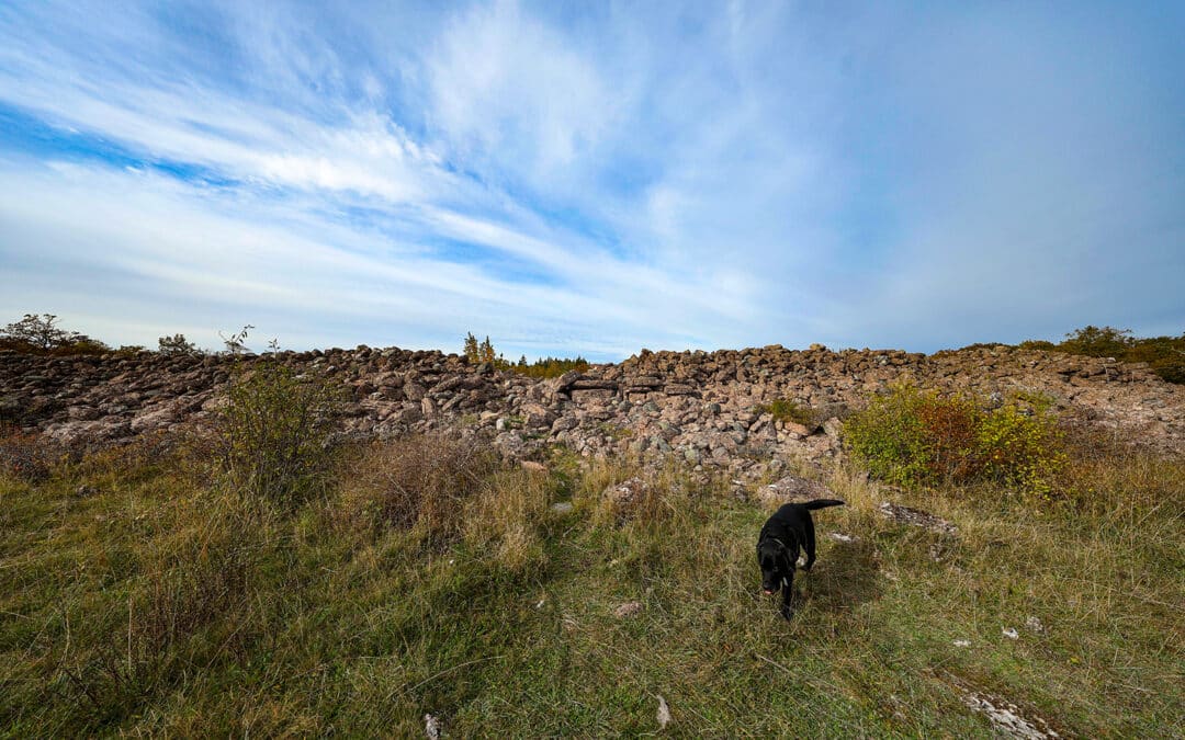 Långe Erik und Burg Ismantorps