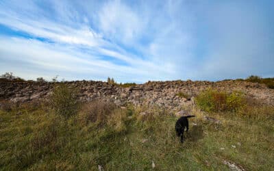 Långe Erik und Burg Ismantorps