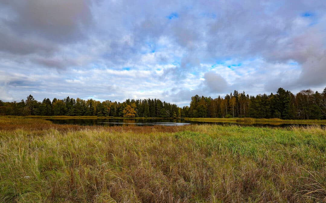 Nationalpark-Färnebofjärden