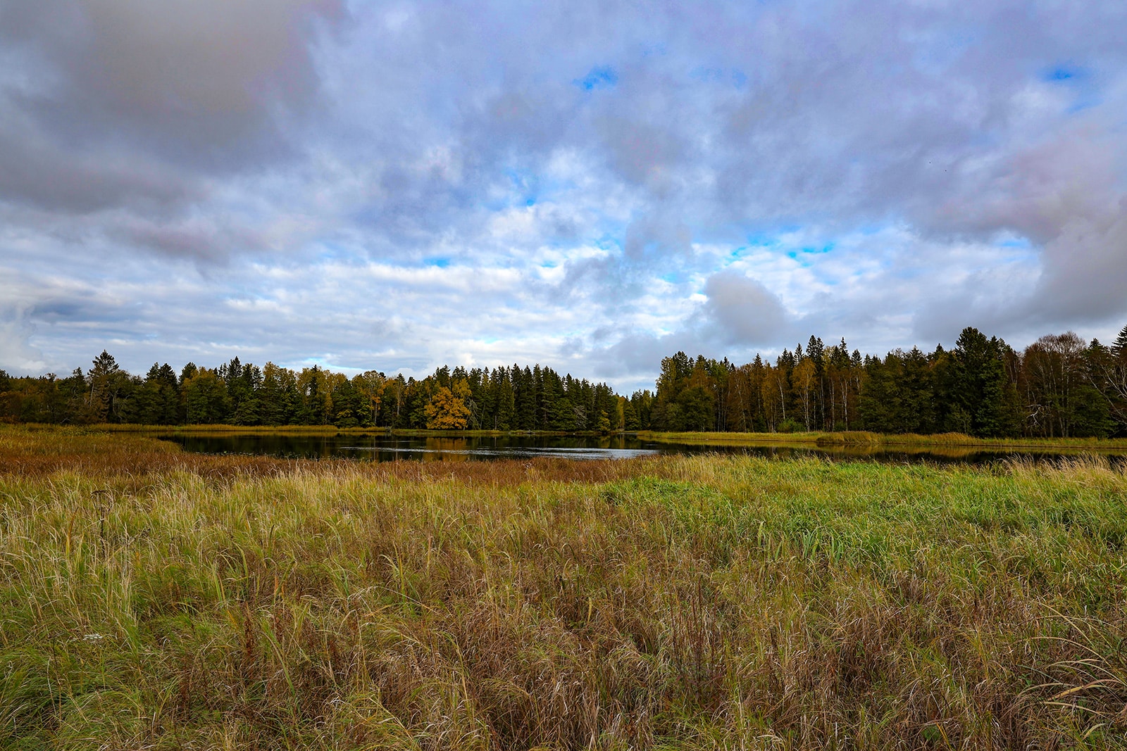 Nationalpark-Färnebofjärden