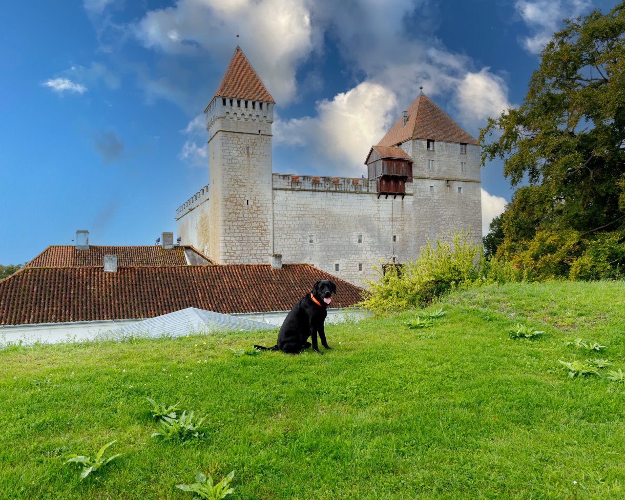 29-08-23-Sölve-Leuchttrurm-Burg-016