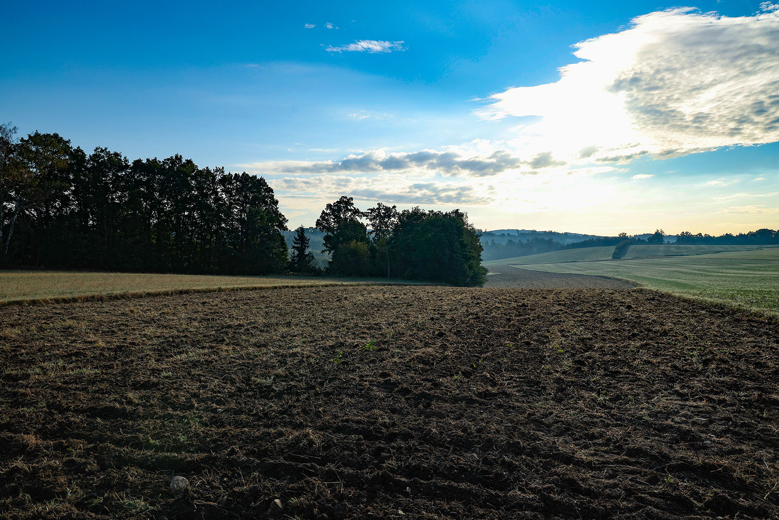 Erster Stopp im Waldviertel