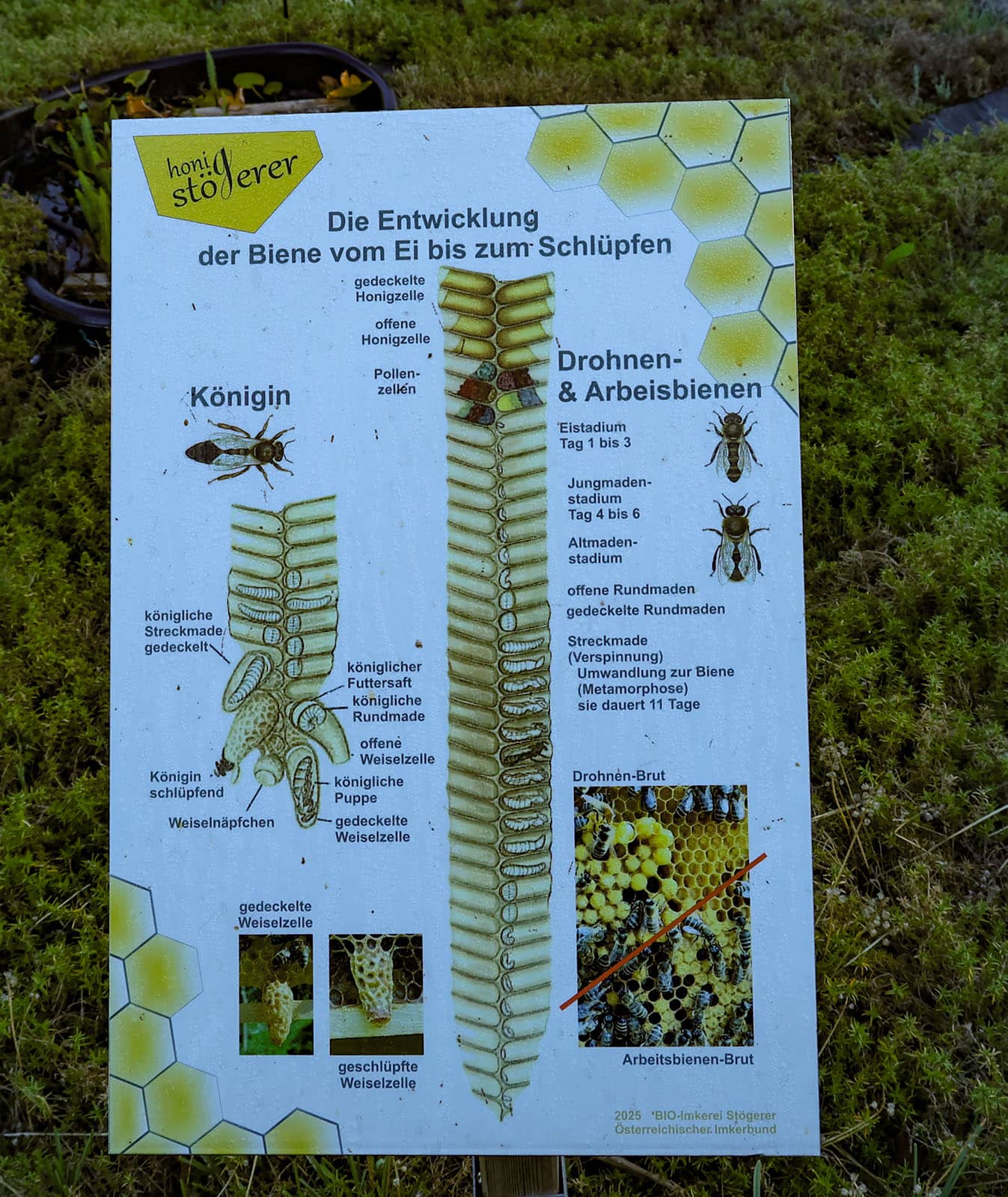 Anfahrt_Imkerei_Stögerer9
